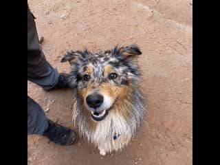 Loves water!