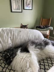 I see you....