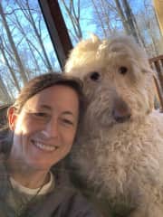 Clover, 11 year old Goldendoodle, who is the love of my life! :-)