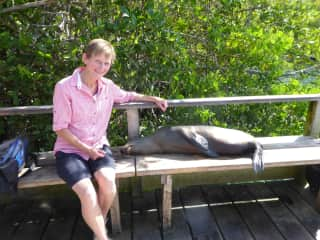 Sharing a seat with a sleepy sea lion in The Galapagos Islands, 2016