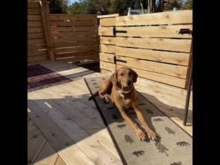 New back yard deck.