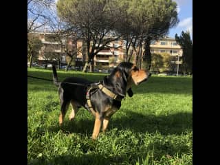 Our favorite park in Rome