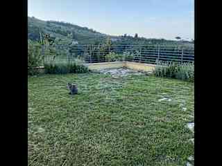 One garden