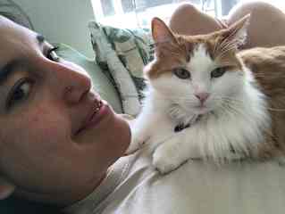 One of my kitty friends Shere!