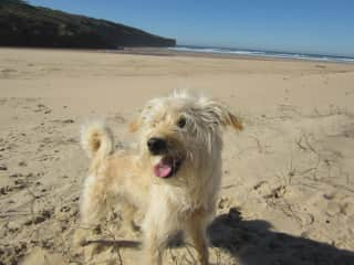 Nico at the beach