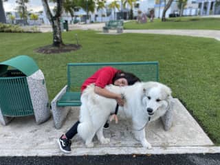 He is a big dog. He likes walks in the dark.