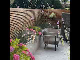 Zero maintenance garden on self watering system.