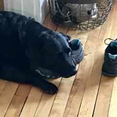 we both love shoes