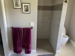 Walk in shower and bathroom in guest bedroom suite