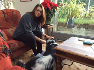 My first sit in Tunbridge Wells with Alfie