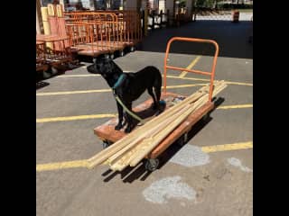 Home Depot helper