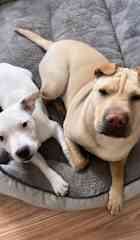 Neo & Holly