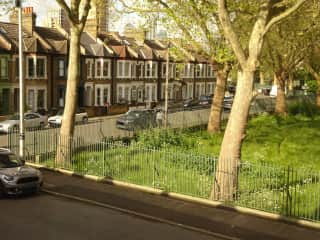 View of park across the road