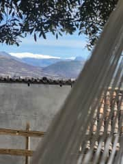 View from your hammock in the garden.