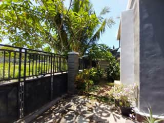 Front garden with gate