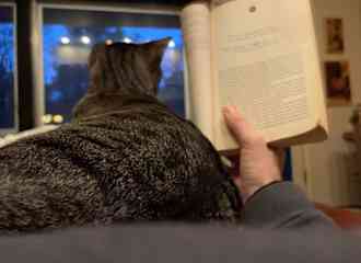 There is something very beautiful about reading with fur babies ❤️