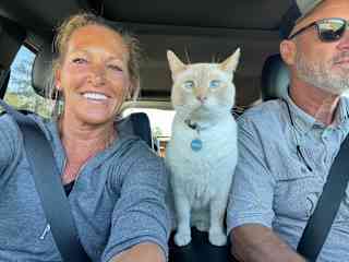 Home and cat sit in Kentucky
