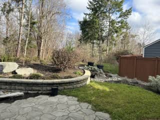 Right side of backyard. Neighbor's shed.
Lots of birds, chipmunks, bunnies, racoon, deer. Occasional coyote.