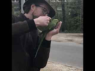 Martijn calmed down this bird who was in a fight at the park