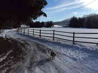 Driveway to house