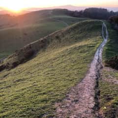Wildcat canyon hike.
