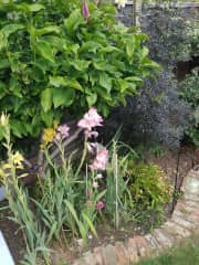 A little water would be nice when it's dry as i love my garden and am very proud of it.  Hose  pipe and watering cans available as are two water butts.