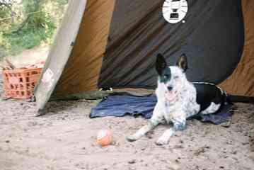 Camping!