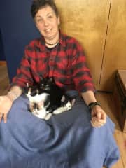 We have raised over 10 batches of foster kittens for our local animal shelter.