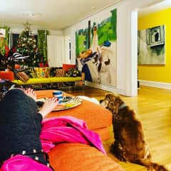 Relaxing on the sofa while watching TV and looking out towards the rest of the living room and hall. I like living colorfully! The dog in the photo is my wonderful old spaniel who has since passed on....