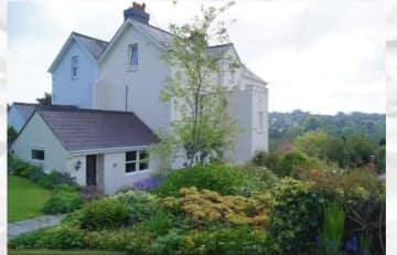 Back of the house