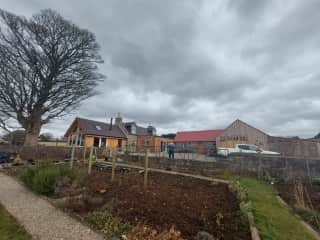 View across kitchen garden