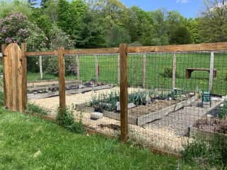 Vegetable garden