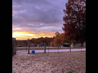 Beautiful sunrise
