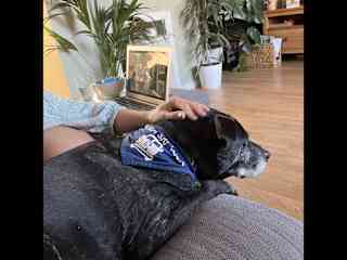Enjoying more chill time in Mildred’s company.