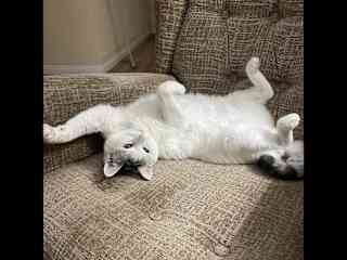 Trying to relax…