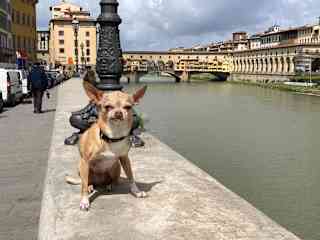 Gigi wasn’t particularly impressed with the Pont Vecchio.