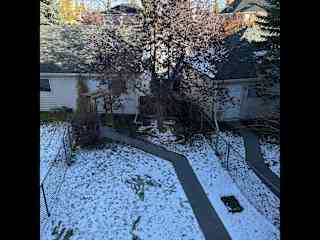 Back yard from upstairs window