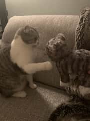 You startin with me..??