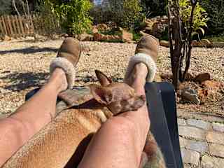Wintering in the Algarve