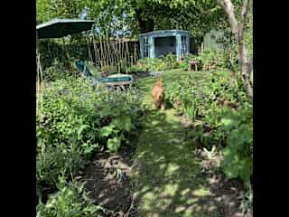 Margot in the garden