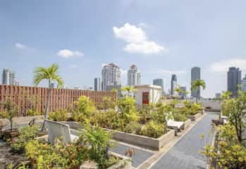 Rooftop garden.