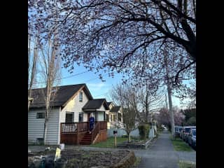 Charming and quiet residential street