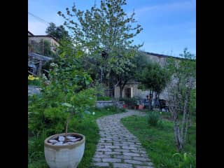 Walkway to beautiful yard and garden.