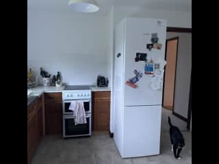 Kitchen with hob, oven and fridge
