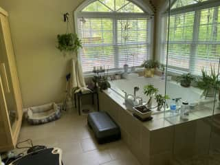 Master bath, jacuzzi tub, infra red sauna , walk in shower