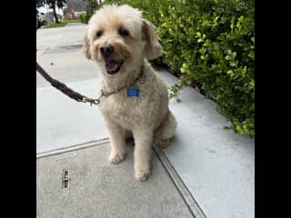 On a walk