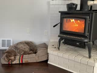 Wood stove (and a dog that likes to sleep by the wood stove)