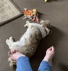 Chilling until his family gets back