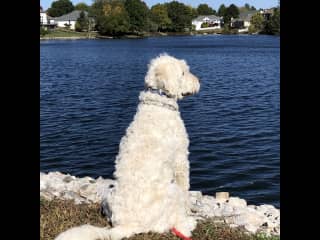 Chester at the lake