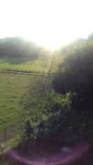 View from our son's bedroom